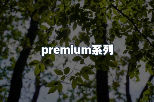 premium系列